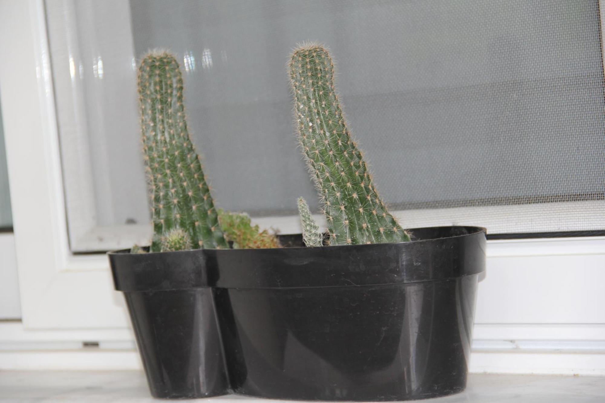 Apartment Patra Greece エクステリア 写真